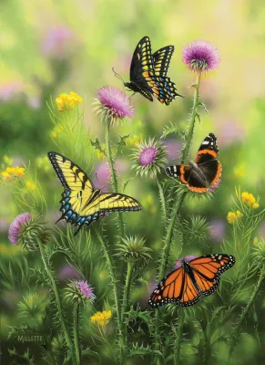 Butterflies &amp; Thistle - 500+pc Large Format Puzzle by SunsOut