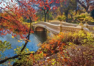 Central Park, New York - 1000pc Jigsaw Puzzle by Schmidt