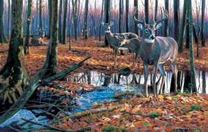 After the Rain - 1000pc Jigsaw Puzzle by Sunsout